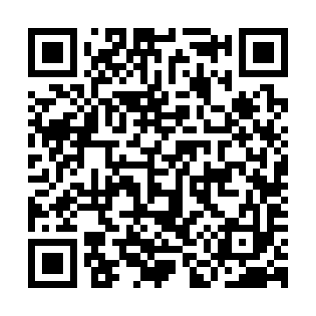 QR code for IM6393