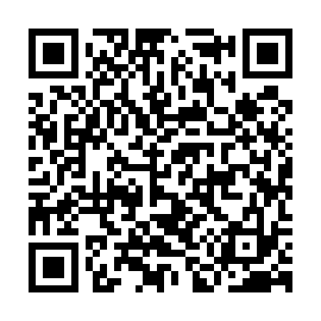 QR code for IM9533