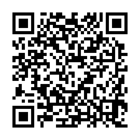 QR code for IN0390