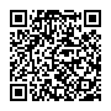 QR code for IN0439
