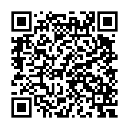 QR code for IN0445