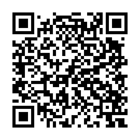 QR code for IN0447
