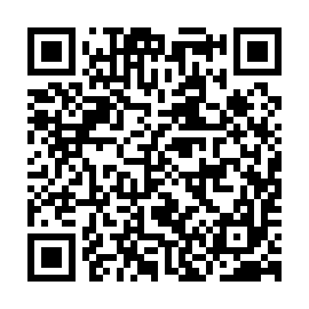 QR code for IN1197
