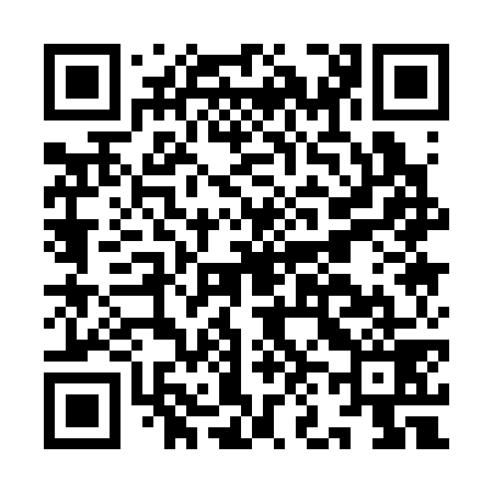 QR code for IN1379