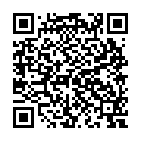 QR code for IN1393