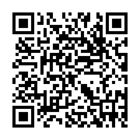 QR code for IN1597