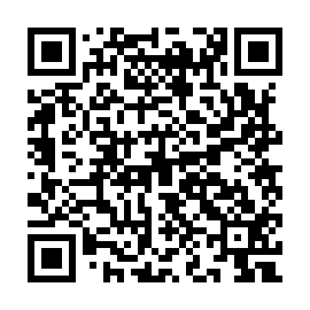 QR code for IN2913
