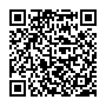 QR code for IN3811