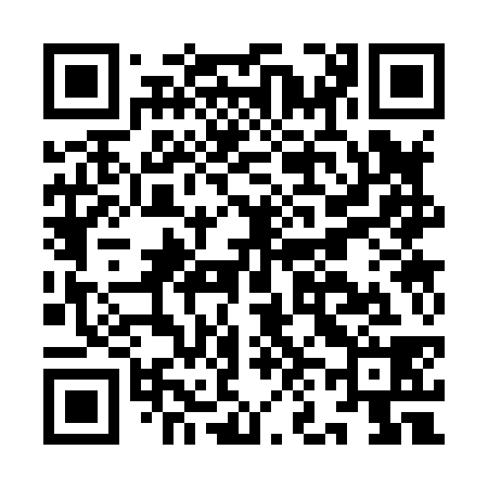 QR code for IN3838
