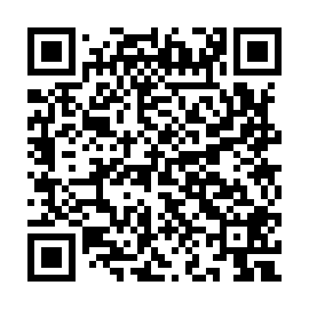 QR code for IN3908