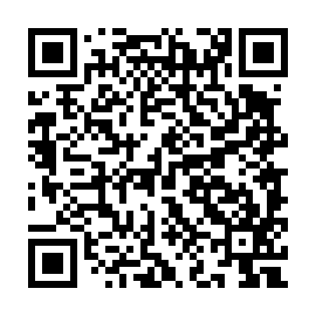 QR code for IN4497