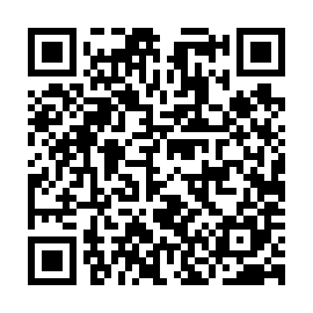 QR code for IN4685