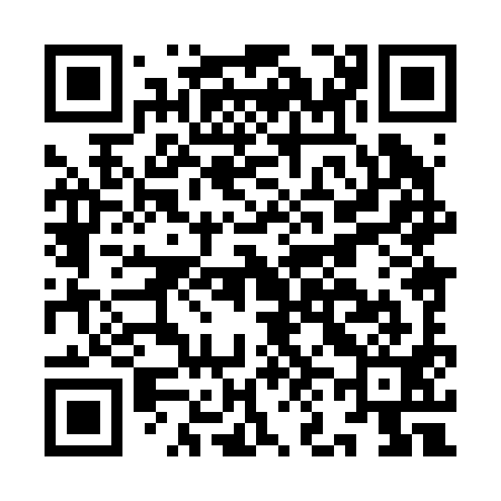 QR code for IN8291