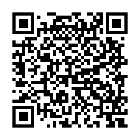 QR code for IN8597