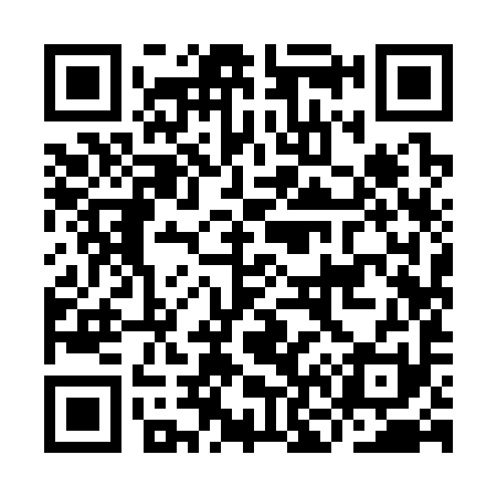 QR code for IN9391
