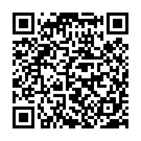 QR code for IN9495