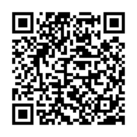 QR code for IN9531