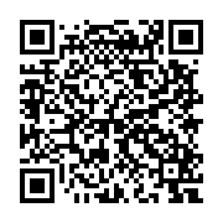 QR code for IN9545