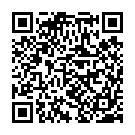 QR code for IN9617