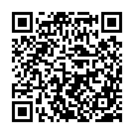 QR code for IN9746