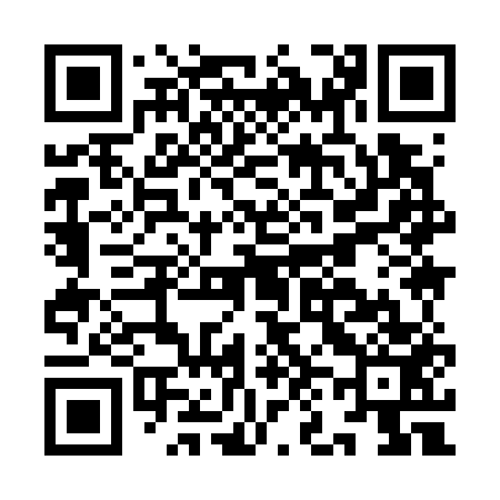 QR code for IN9753