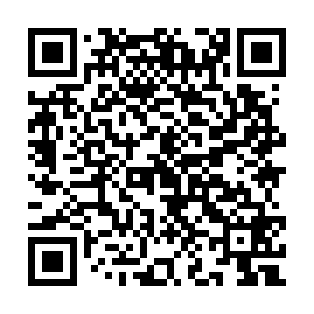 QR code for IN9768