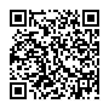 QR code for IO1313
