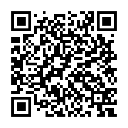 QR code for IO3133