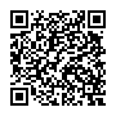 QR code for IO3487
