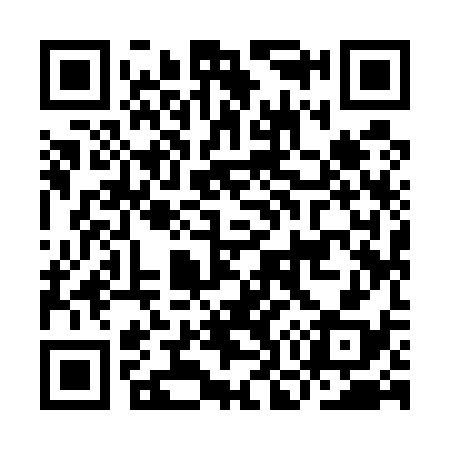 QR code for IO9538