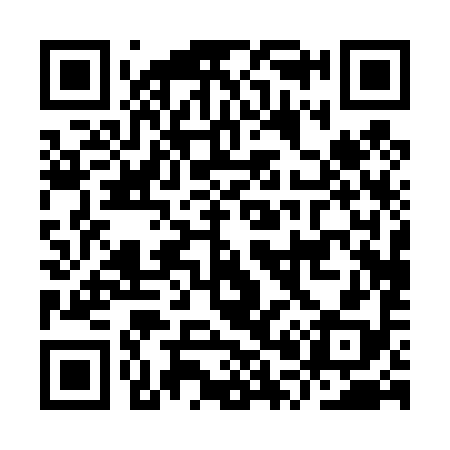 QR code for IP0498