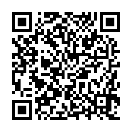 QR code for IP0994