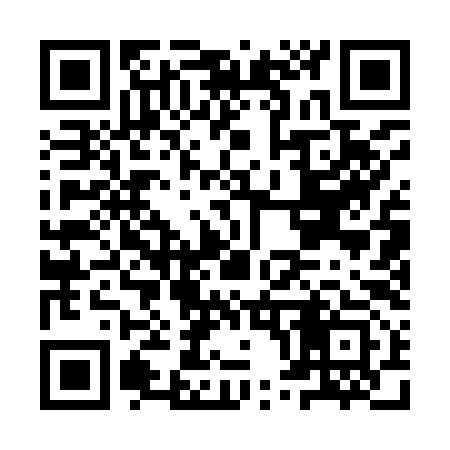 QR code for IP1993
