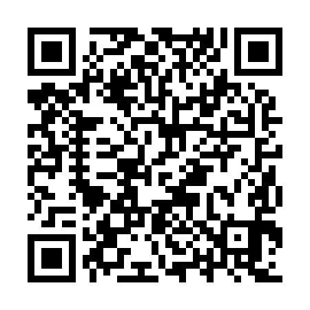 QR code for IP2991