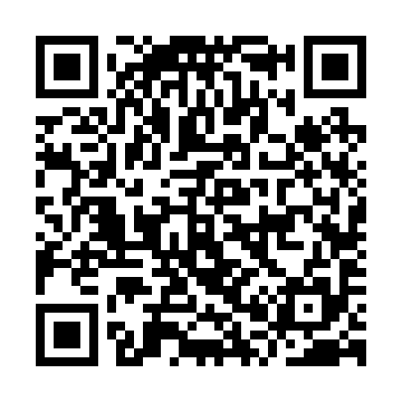 QR code for IP6295