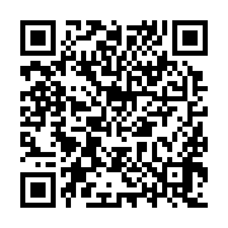 QR code for IP6398