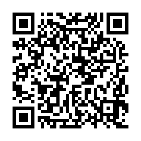 QR code for IQ2993