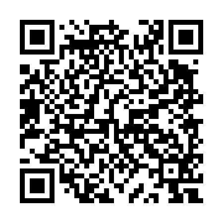 QR code for IR0496