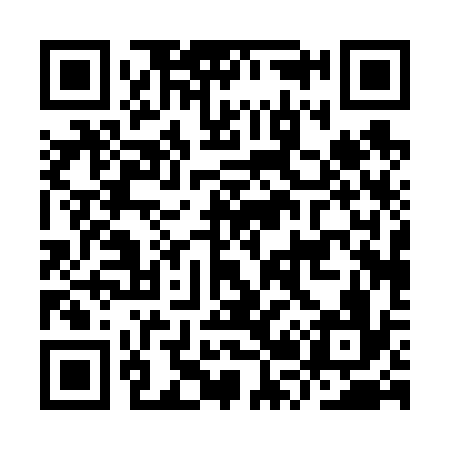QR code for IR0636