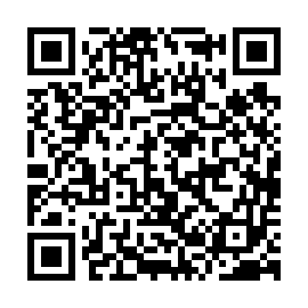 QR code for IR0653