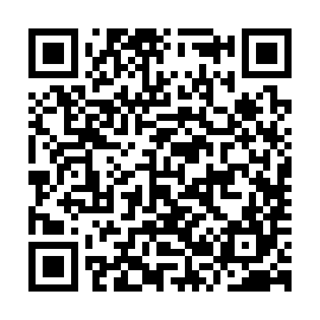 QR code for IR2384