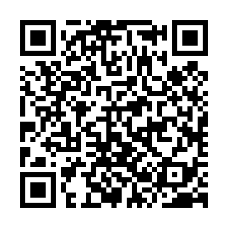 QR code for IR2439