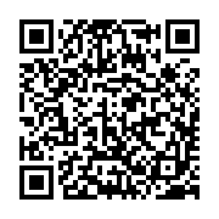 QR code for IR2993