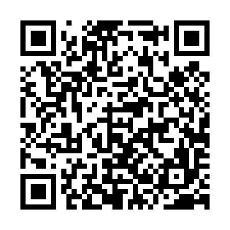 QR code for IR4496