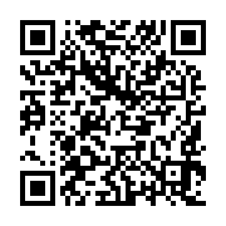QR code for IR9993