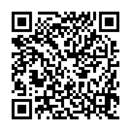 QR code for IT0294