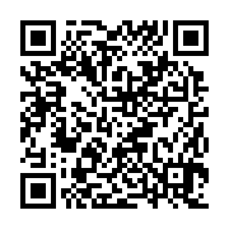 QR code for IT2384