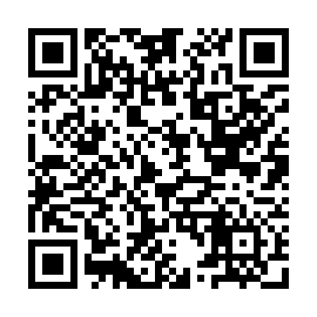 QR code for IT2976