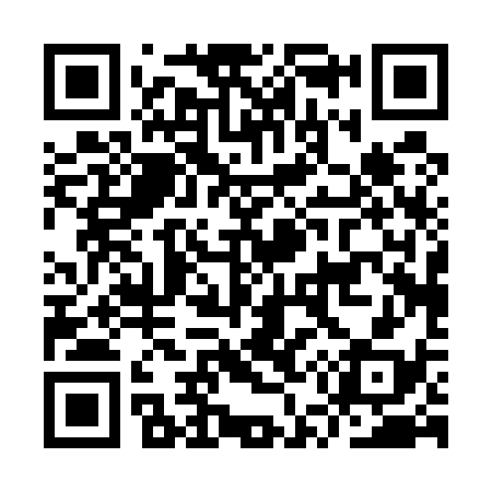 QR code for IU0538