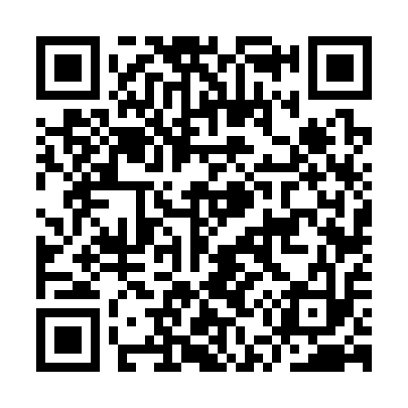 QR code for IU6313